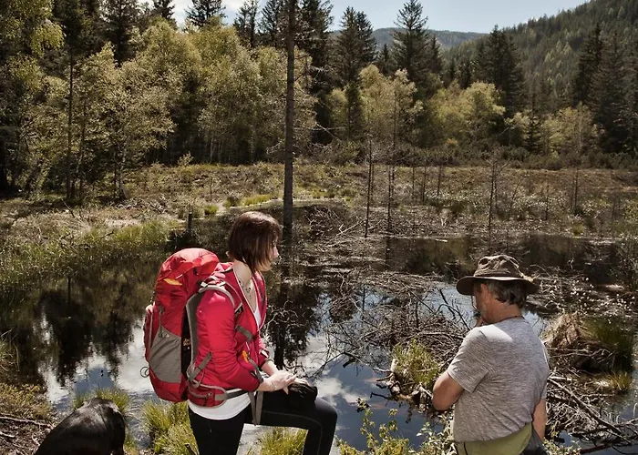 Schaus Lueftenegger - Apart-zirbenpension Casa de hóspedes